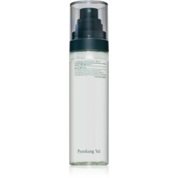 Pyunkang Yul Calming Moisture Mist lotiune calmanta dupa bronzare pentru ten uscat și sensibil - imagine 2